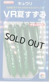 画像: 送料無料　[キュウリ]　ＶＲ夏すずみ　350粒　タキイ種苗(株)