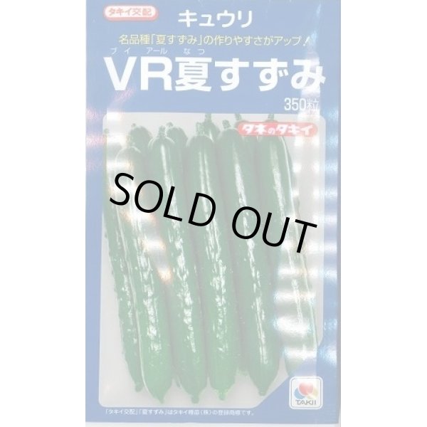 画像1: 送料無料　[キュウリ]　ＶＲ夏すずみ　350粒　タキイ種苗(株) (1)