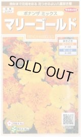 画像: 送料無料　花の種　マリーゴールド　ボナンザミックス　約43粒　(株)サカタのタネ　実咲200（026360）