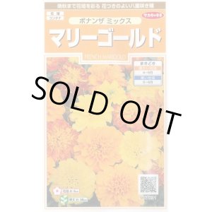 画像: 送料無料　花の種　マリーゴールド　ボナンザミックス　約43粒　(株)サカタのタネ　実咲200（026360）