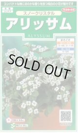 画像: 送料無料　花の種　アリッサム　スノークリスタル　約43粒　　(株)サカタのタネ　実咲250（026216）