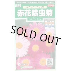 画像: 送料無料　花の種　赤花除虫菊　ロビンソンミックス　約125粒　　(株)サカタのタネ　実咲250（026247）