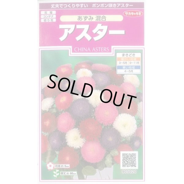 画像1: 送料無料　花の種　アスター　あずみ混合　約143粒　(株)サカタのタネ　実咲350（026083） (1)