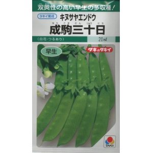 画像: 送料無料　[えんどう]　成駒三十日　18ml　(およそ60粒)　タキイ種苗(株)　GF