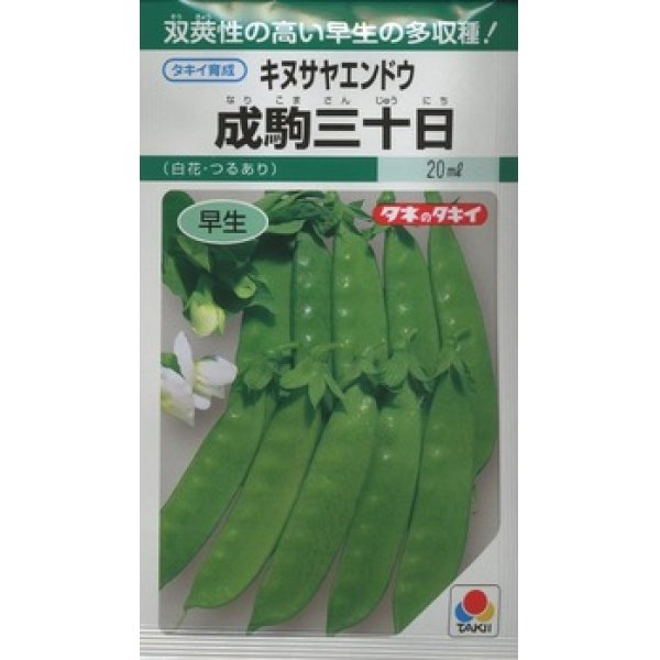 画像1: 送料無料　[えんどう]　成駒三十日　18ml　(およそ60粒)　タキイ種苗(株)　GF (1)