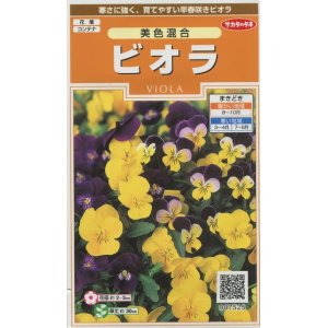 画像: 送料無料　花の種　ビオラ　美色混合　約58粒　(株)サカタのタネ　実咲200（026347）