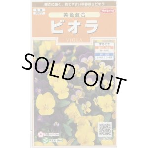 画像: 送料無料　花の種　ビオラ　美色混合　約58粒　(株)サカタのタネ　実咲200（026347）