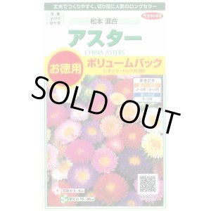 画像: 送料無料　花の種　アスター　松本混合　ボリュームパック　約558粒　(株)サカタのタネ　実咲500（026378）