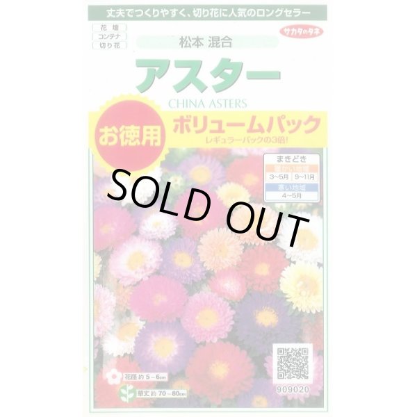 画像1: 送料無料　花の種　アスター　松本混合　ボリュームパック　約558粒　(株)サカタのタネ　実咲500（026378） (1)