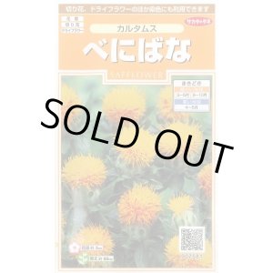 画像: 送料無料　花の種　べにばな　カルタムス　約22粒　（株）サカタのタネ　実咲200（026354）