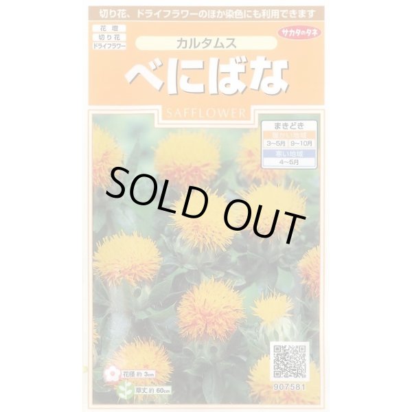 画像1: 送料無料　花の種　べにばな　カルタムス　約22粒　（株）サカタのタネ　実咲200（026354） (1)