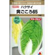 画像1: 送料無料　[白菜]　黄ごころ65　5ml　タキイ種苗(株) (1)