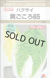 画像: 送料無料　[白菜]　黄ごころ65　5ml　タキイ種苗(株)