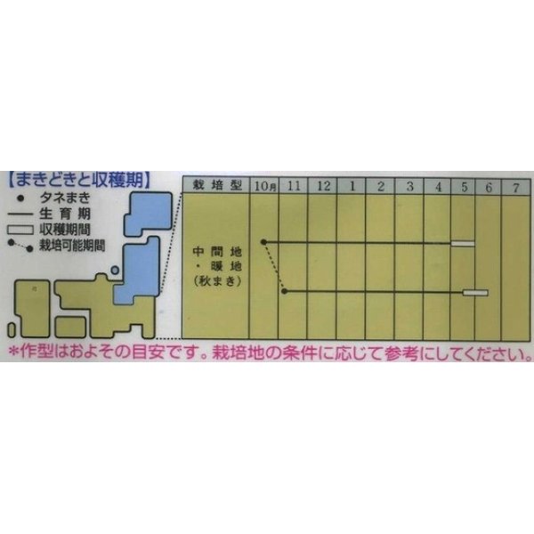 画像2: 送料無料　[グリーンピース]　久留米豊　1dl(およそ280粒)　タキイ種苗 (2)