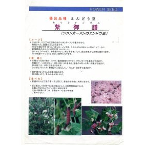 画像3: 送料無料　[えんどう]　紫御膳　10ml　(株)タカヤマシード (3)