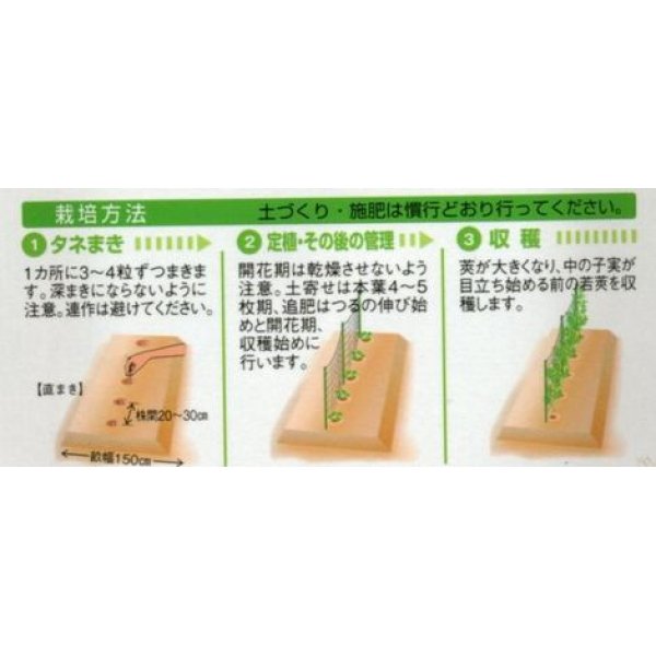 画像2: 送料無料　[えんどう]　成駒三十日　18ml　(およそ60粒)　タキイ種苗(株)　GF (2)