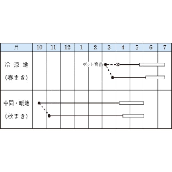 画像3: 送料無料　[えんどう]　成駒三十日　18ml　(およそ60粒)　タキイ種苗(株)　GF (3)