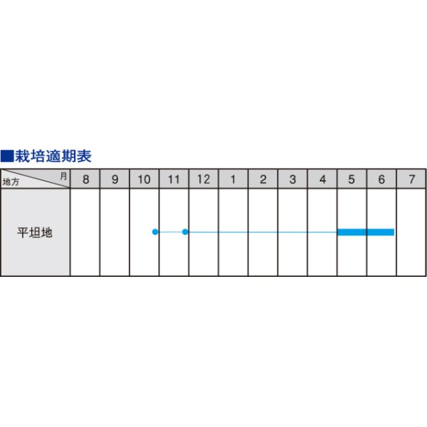 画像3: 送料無料　[えんどう]　ツタンカーメンのエンドウ豆　8ml　大和農園 (3)