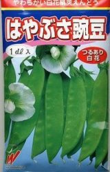 画像: 送料無料　[えんどう]　はやぶさ　(きぬさや)　25ml　渡辺農事