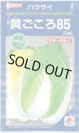 画像: 送料無料　[白菜]　黄ごころ85　20ml　タキイ種苗(株)