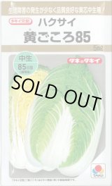 画像: 送料無料　[白菜]　黄ごころ85　5ml　タキイ種苗(株)