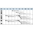 画像2: 送料無料　[白菜]　耐病六十日　2.2ml　タキイ種苗(株)　DF (2)