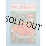 画像: 送料無料　[トマト/ミニトマト]　キャンドルライト　1000粒　カネコ交配