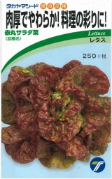 画像: 送料無料　[葉物]　赤丸サラダ菜　小袋　1.5ml　(株)タカヤマシード