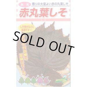 画像: 送料無料　[葉物]　赤しそ　赤丸葉しそ　5ml　松永種苗(株)