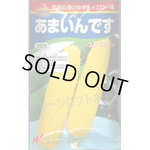 画像: 送料無料　[とうもろこし]　あまいんです　200粒　渡辺農事(株)