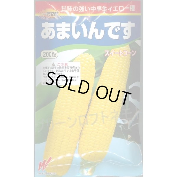 画像1: 送料無料　[とうもろこし]　あまいんです　200粒　渡辺農事(株) (1)