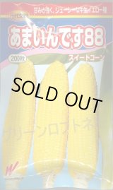 画像: 送料無料　[とうもろこし]　あまいんです88　200粒　渡辺農事(株)