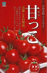 画像: 送料無料　[トマト/ミニトマト]　甘っこ　★500粒　宇治交配