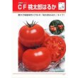 画像3: 送料無料　[トマト/桃太郎系]　ＣＦ桃太郎はるか　16粒　タキイ種苗(株)　DF (3)