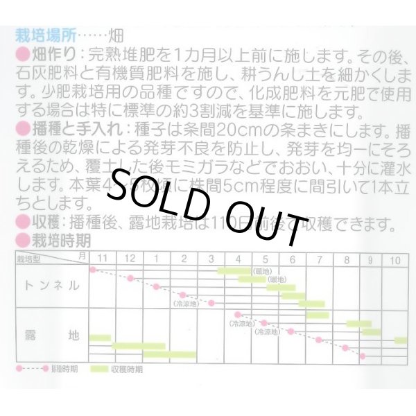 画像3: 送料無料　[人参]　ベーターリッチ　ペレット　約350粒　(株)サカタのタネ　実咲450（003107） (3)