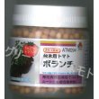 画像1: 送料無料　[台木/トマト用]　ボランチ　ペレット　2L　1000粒　タキイ種苗(株) (1)