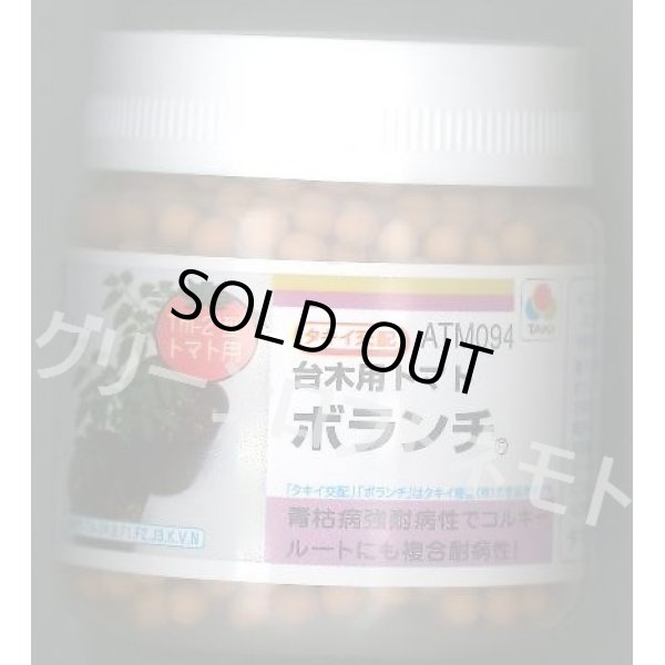 画像1: 送料無料　[台木/トマト用]　ボランチ　ペレット　2L　1000粒　タキイ種苗(株) (1)