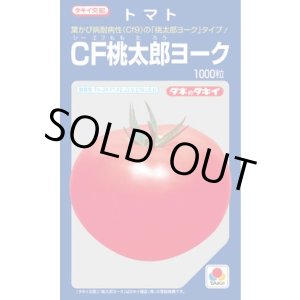 画像: 送料無料　[トマト/桃太郎系]　CF桃太郎ヨーク　1000粒　貴種(コートしてません)　タキイ種苗(株)