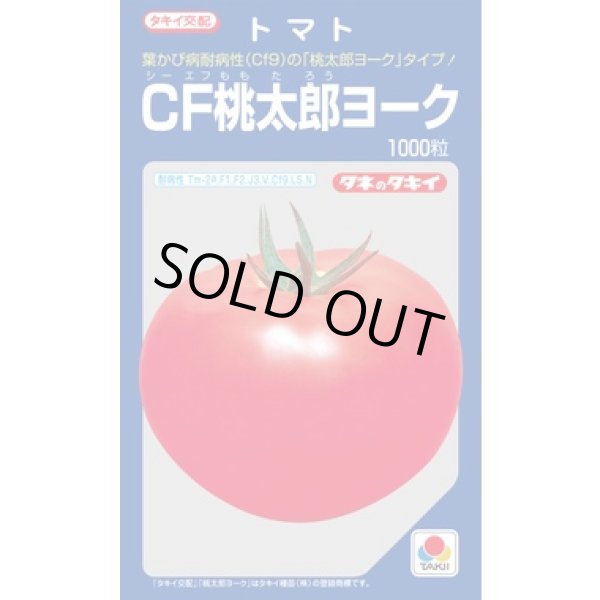 画像1: 送料無料　[トマト/桃太郎系]　CF桃太郎ヨーク　1000粒　貴種(コートしてません)　タキイ種苗(株) (1)