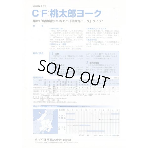 画像4: 送料無料　[トマト/桃太郎系]　CF桃太郎ヨーク　1000粒　2L　ペレット種子　タキイ種苗(株) (4)