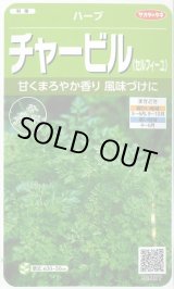 画像: 送料無料　[ハーブの種]　チャービル(セルフィーユ)　約800粒　(株)サカタのタネ　実咲（003184）