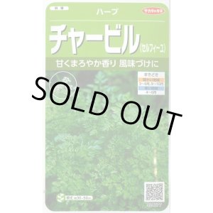 画像: 送料無料　[ハーブの種]　チャービル(セルフィーユ)　約800粒　(株)サカタのタネ　実咲（003184）