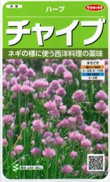 画像: 送料無料　[ハーブの種]　チャイブ　約250粒　(株)サカタのタネ　実咲（003185）