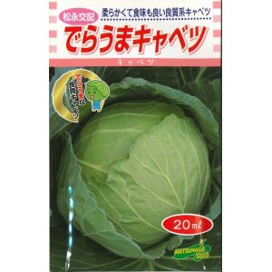 画像: 送料無料　[キャベツ]　でらうま　20ml　松永種苗(株)