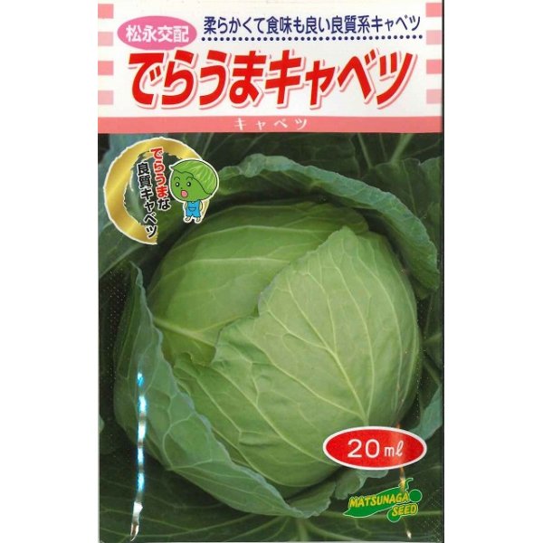 画像1: 送料無料　[キャベツ]　でらうま　20ml　松永種苗(株) (1)