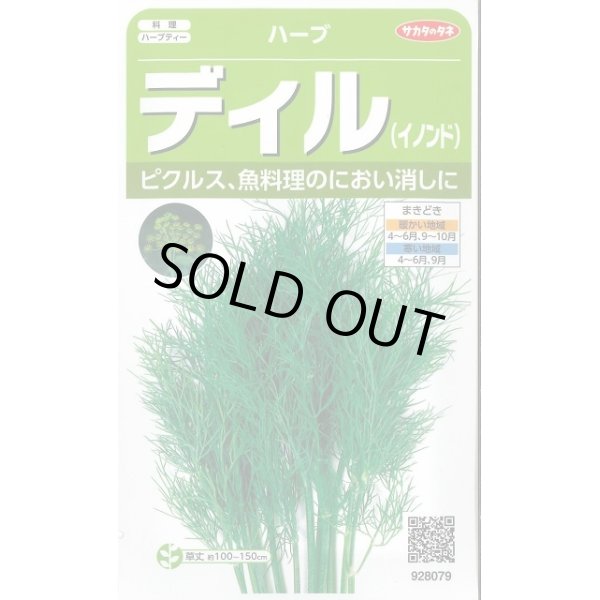 画像1: 送料無料　[ハーブの種]　ディル(イノンド)約700粒　(株)サカタのタネ　実咲（003186） (1)