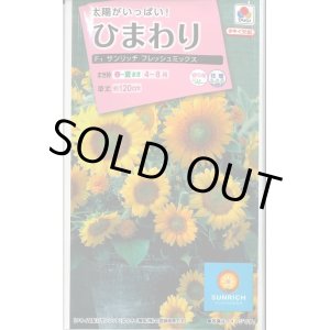 画像: 送料無料　花の種　ひまわり　サンリッチフレッシュミックス　小袋　タキイ種苗(株)