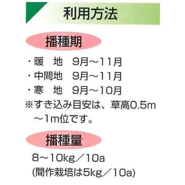 画像2: [緑肥]　ハルミドリ　1kg　カネコ種苗(株) (2)