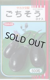 画像: 送料無料　[なす]　ごちそうなす　500粒　(株)サカタのタネ