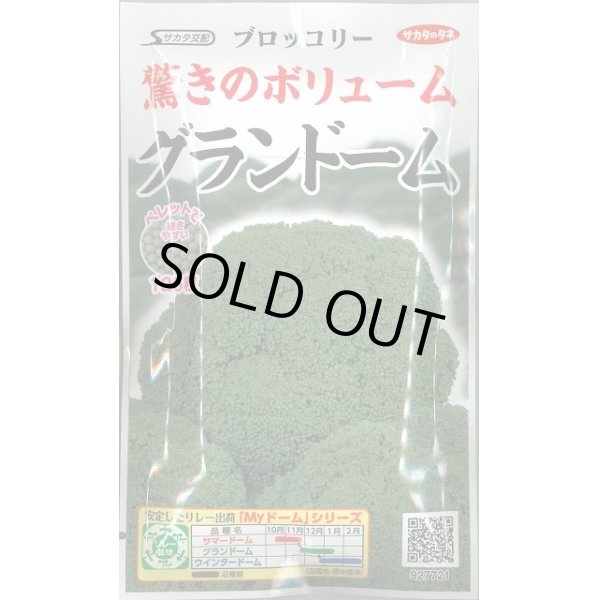 画像1: 送料無料　[ブロッコリー]　グランドーム　ぺレット種子　125粒　(株)サカタのタネ   実咲550 (1)